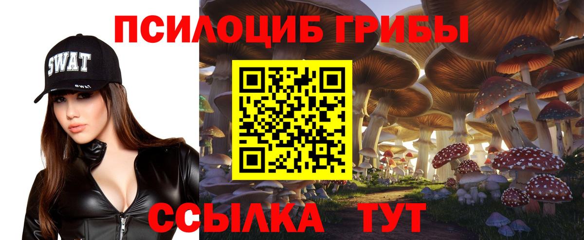 Заволжье  Псилоцибиновые грибы мухоморы  Вход с VPN 
